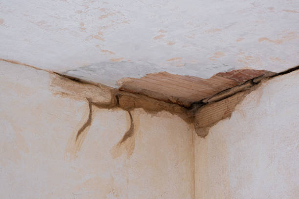 Best Emergency water damage restoration  in Hudson, TX