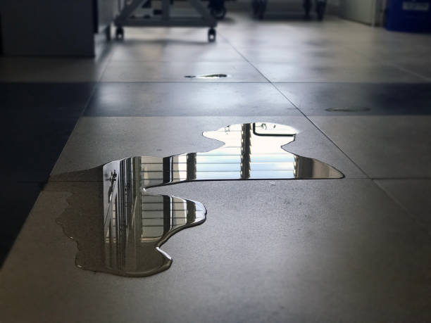Best Water damage restoration near me  in Hudson, TX