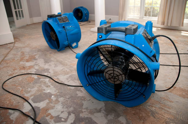 Best Local water damage restoration  in Hudson, TX