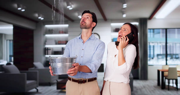 Best Professional water damage repair  in Hudson, TX